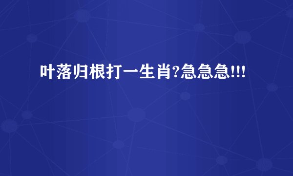 叶落归根打一生肖?急急急!!!