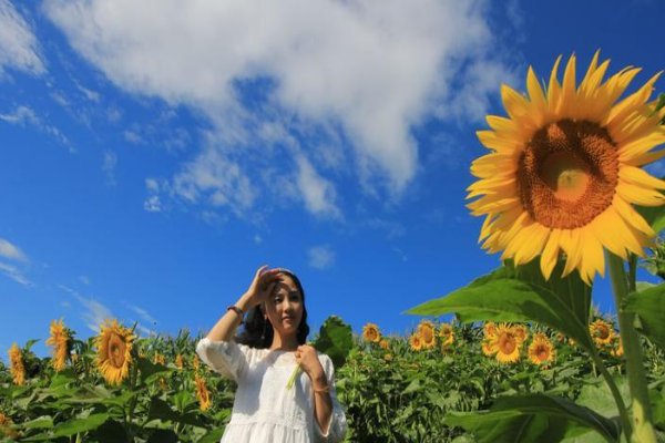 怎样回复女生说的我这么美？
