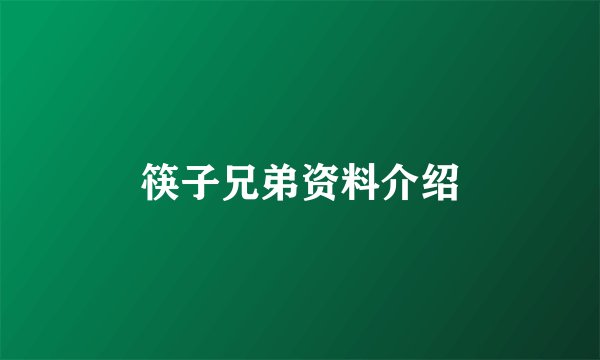 筷子兄弟资料介绍