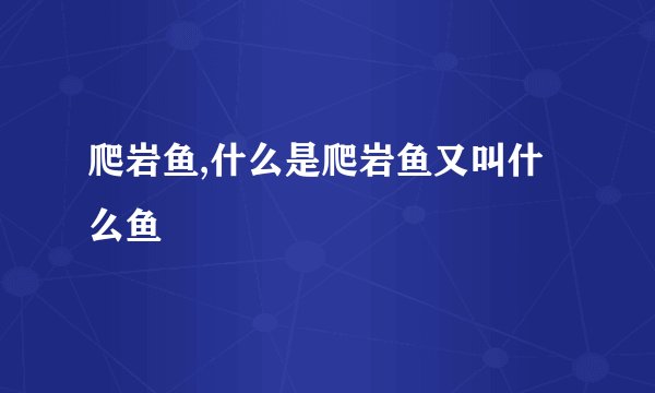 爬岩鱼,什么是爬岩鱼又叫什么鱼