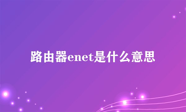 路由器enet是什么意思