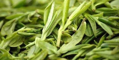 祖国的物产有哪些