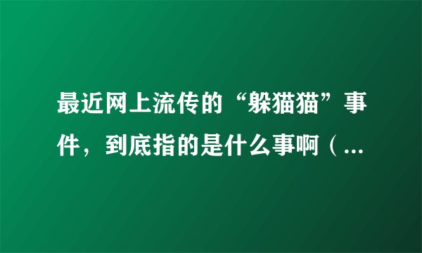 最近网上流传的“躲猫猫”事件，到底指的是什么事啊（具体点）？