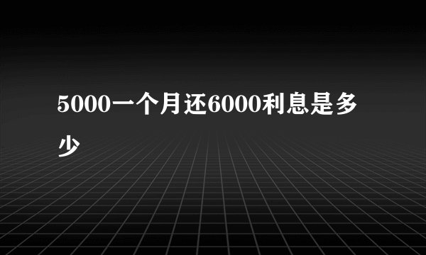 5000一个月还6000利息是多少
