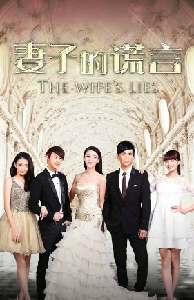 妻子的谎言电视剧剧情分集介绍