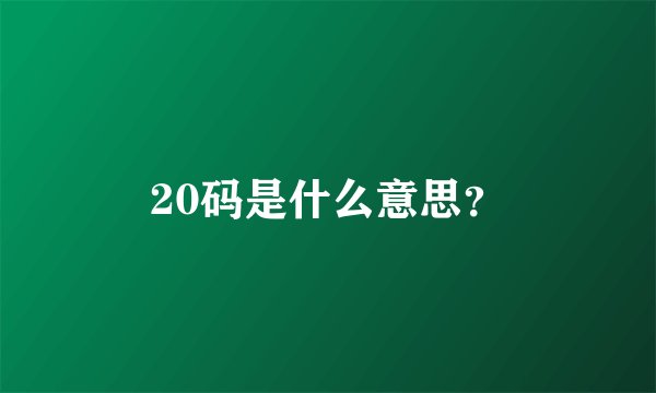 20码是什么意思？
