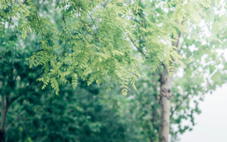 描写七月的优美句子开头