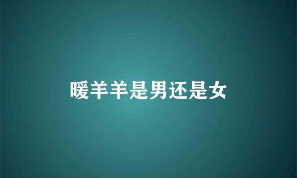 暖羊羊是男还是女