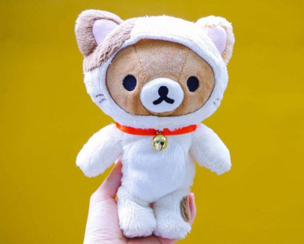 小熊英文怎么读