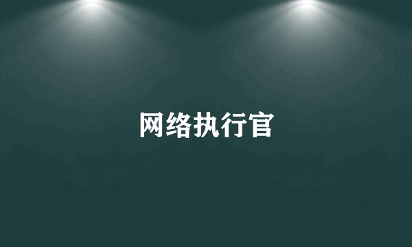 网络执行官