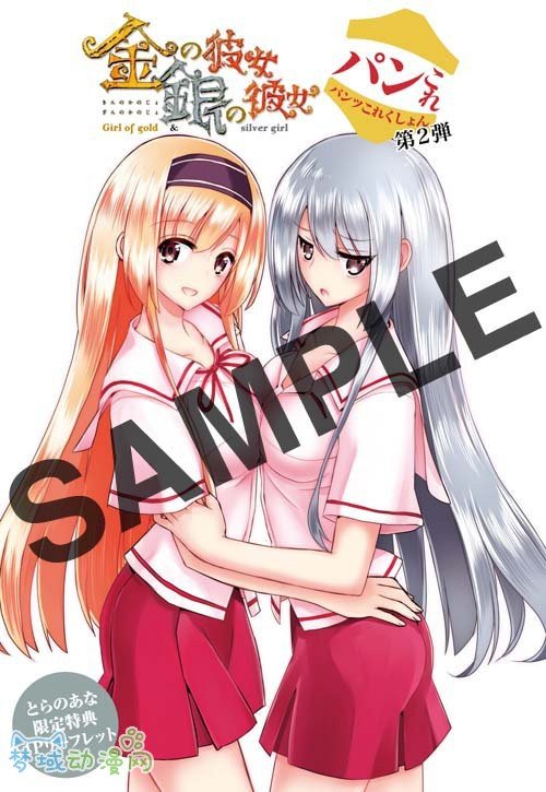 金银彼女的故事简介