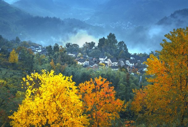 秋景表达思乡的诗句