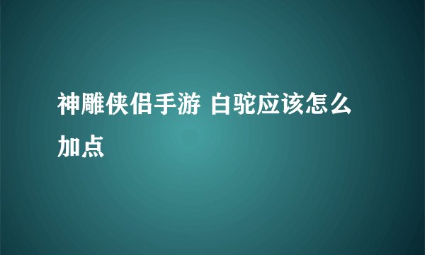 神雕侠侣手游 白驼应该怎么加点
