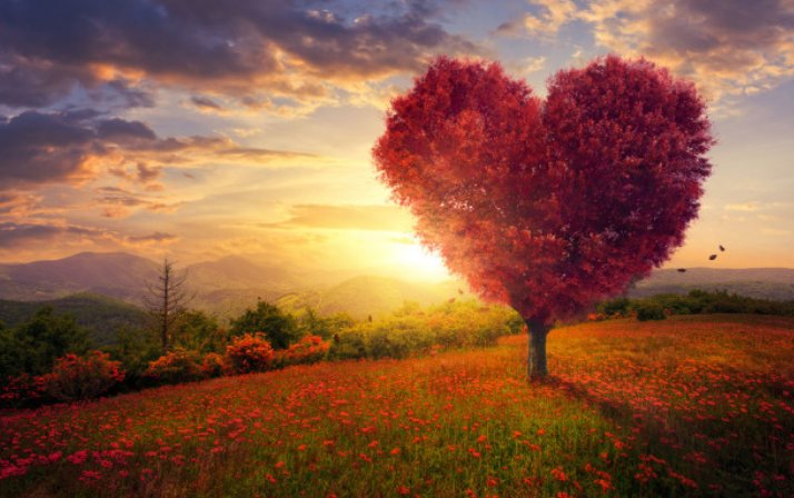 活几把和死几把的区别是什么？