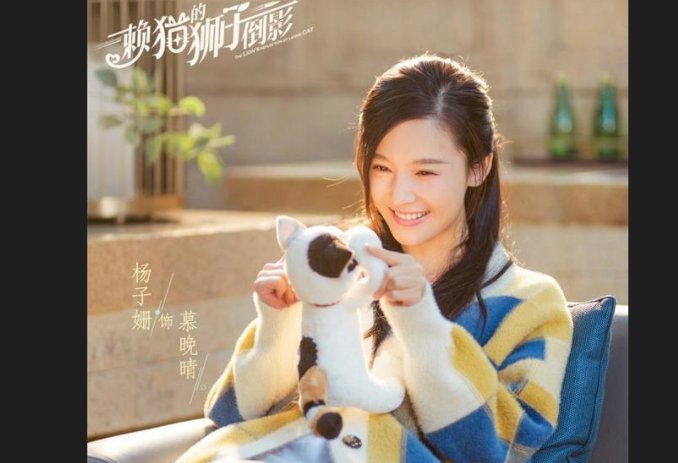 《赖猫的狮子倒影》在哪个台？