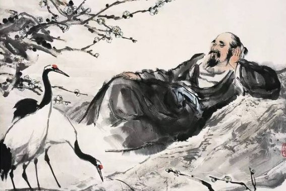 眼高手低指什么生肖动物