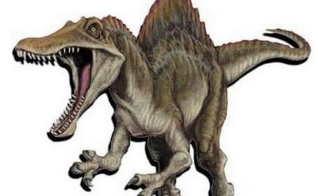 恐龙有哪些种类和名字