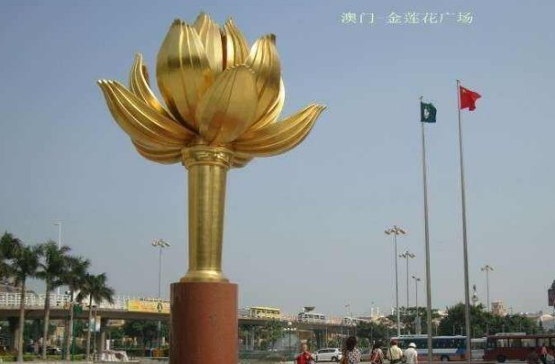 澳门的市花是什么花