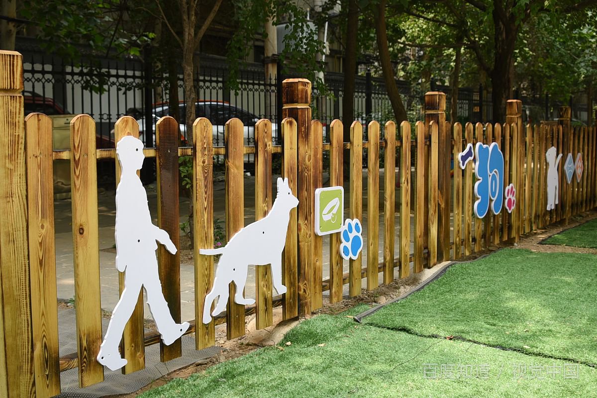 金毛每天需要陪伴多久，遛狗多长时间合适？