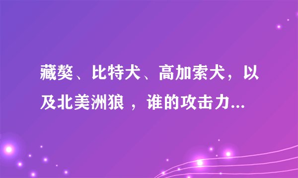 藏獒、比特犬、高加索犬，以及北美洲狼 ，谁的攻击力更高，敏捷呢?