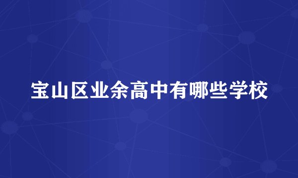 宝山区业余高中有哪些学校