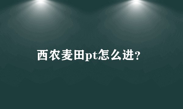 西农麦田pt怎么进？