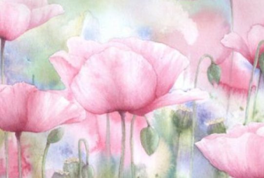 周启深赵西音大结局