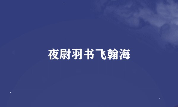 夜尉羽书飞翰海
