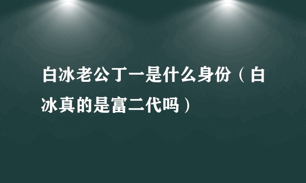 白冰老公丁一是什么身份（白冰真的是富二代吗）
