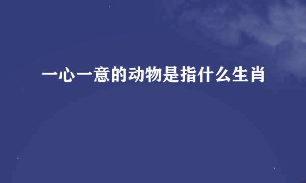 一心一意的动物是指什么生肖