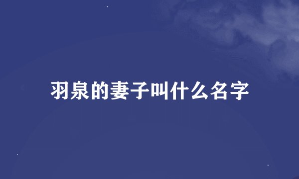 羽泉的妻子叫什么名字