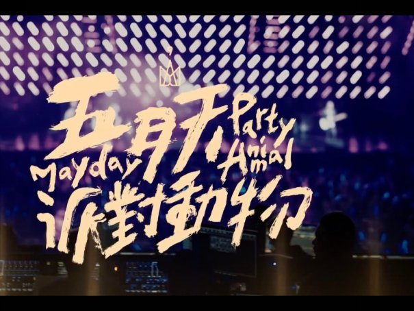 派对动物歌词