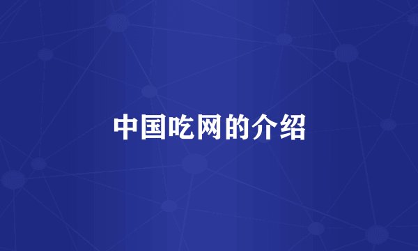中国吃网的介绍