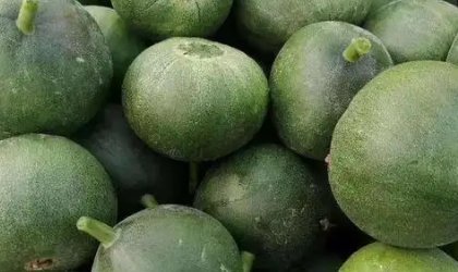 上坟时有三样东西不要上