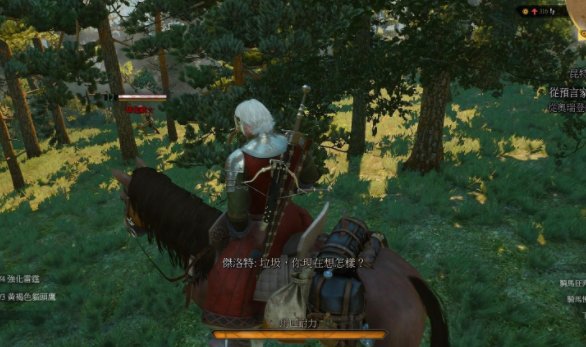 巫师2杰洛特和薇丝有什么剧情