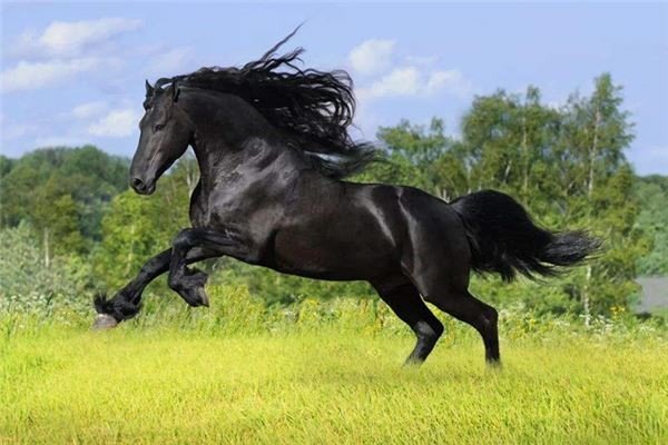 按照封建迷信的说法,鬼最怕的生肖属相是哪些?