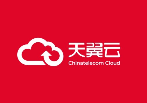 中国十大云计算公司排名