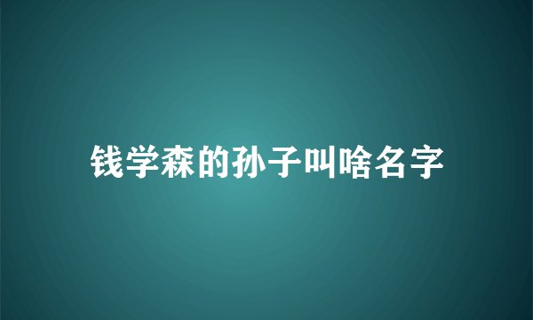 钱学森的孙子叫啥名字