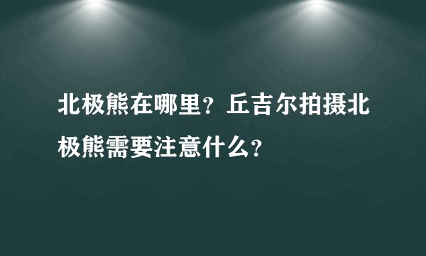 北极熊在哪里？丘吉尔拍摄北极熊需要注意什么？