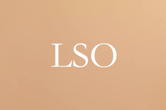 lso是什么意思