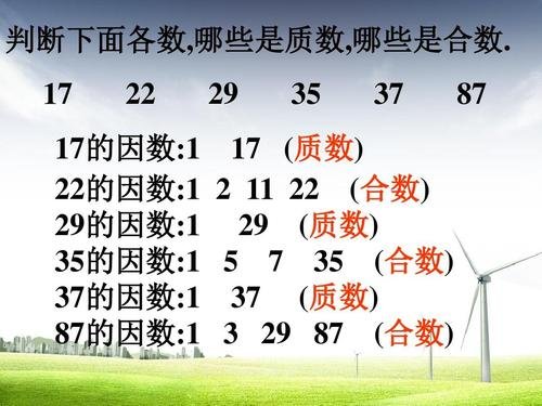 合数的概念是什么?