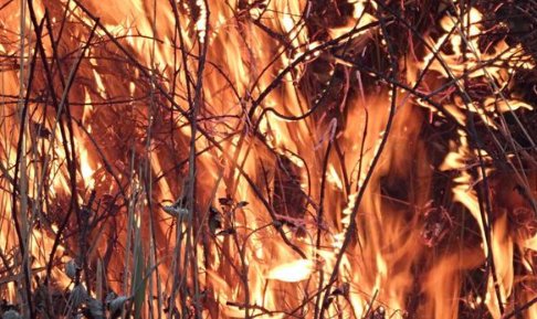 遇水燃烧的物质是什么？