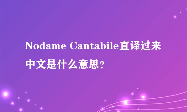 Nodame Cantabile直译过来中文是什么意思？