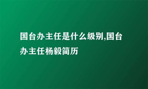 国台办主任是什么级别,国台办主任杨毅简历