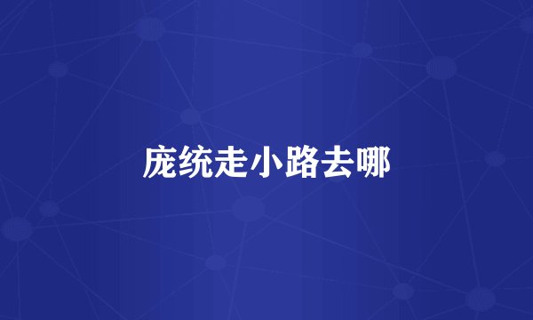 庞统走小路去哪