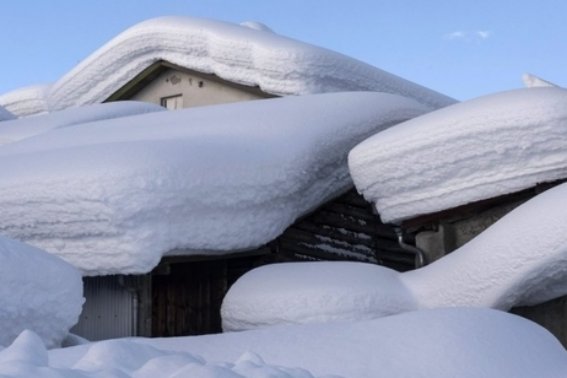大自然中的指南针有哪些?仿写
