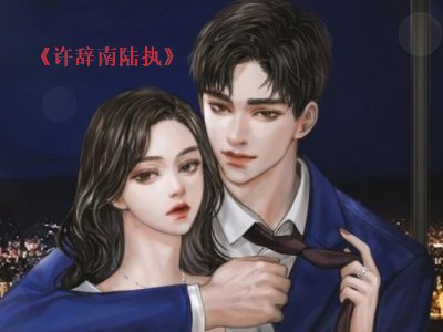 许辞南陆执小说结局