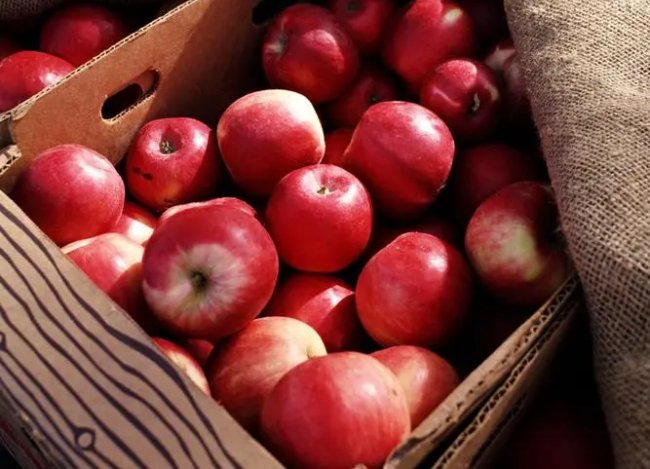 美式保罗与雪莉1982哪个好