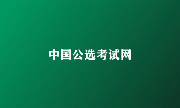 中国公选考试网