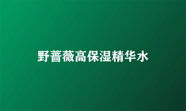 野蔷薇高保湿精华水